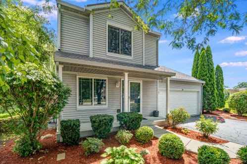 25 Frederick Ct, South Elgin, IL 60177-3039
