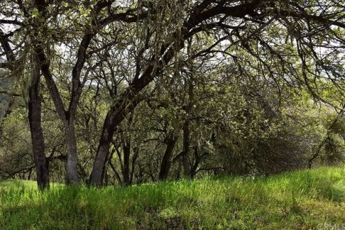 2658 Pine Ridge Rd, Lake Nacimiento, CA 93426-9627