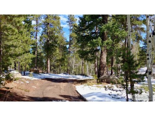 73 Ranch Rd, Ward, CO 80481-9542