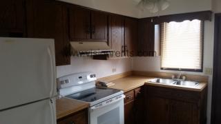 410 Hutchins St, Joliet IL  60435-4369 exterior