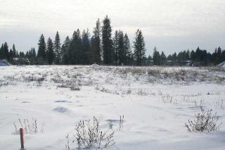 4201 Moody Ln, Green Bluff, WA 99021-5057