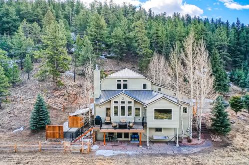 520 Meadow Dr, Pine, CO 80470-5005