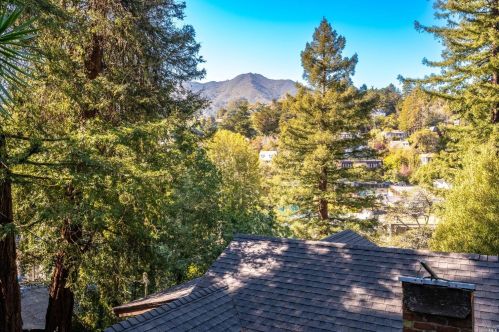 95 Ethel Ave, Mill Valley, CA 94941-2736