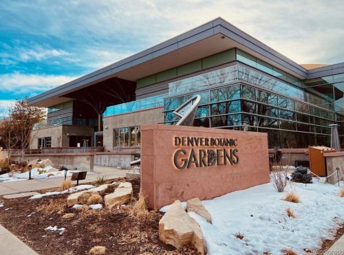 1149 Columbine St, Denver CO  80206-3121 exterior