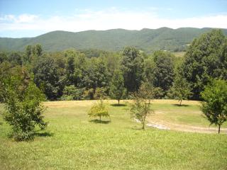 126 Taylor Hollow Rd, Elizabethton, TN 37643-7013