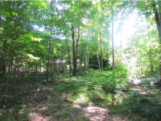 36 Pollard Rd, Lincoln, NH 03251-4243