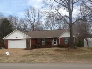 745 Williams Rd, Henderson, TN 38340-3697