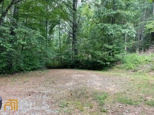 1873 Pleasant Hill Rd, Ellijay, GA 30540-0007