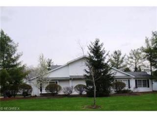 301 Barrington Dr, Concord Township, OH 44024-1449