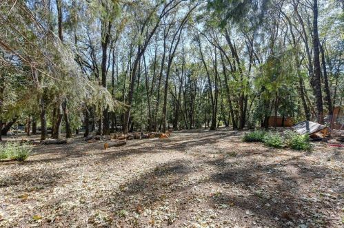 20610 Cedar View Dr, Michigan Bluff CA  95631-9724 exterior
