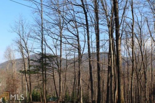 102-103 Skyview Dr, Ellijay, GA 30540