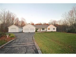 9978 High Country Dr, Concord Township OH  44024-9500 exterior