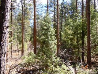 4917 Cheyenne Dr, Palmer Lake, CO 80118-8514