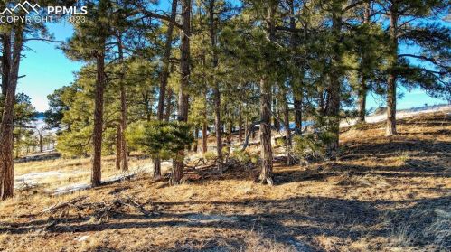 17175 Warriors Path Dr, Amo CO  80831-9352 exterior