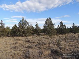 13520 Southwood Dr, Prineville, OR 97754-8741