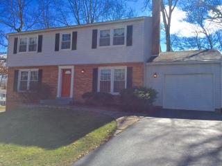 12701 Saylers Creek Ln, Herndon, VA 20170-2852