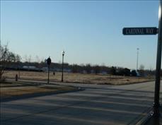 513 Jessamine St, Pingree Grove IL  60140-6711 exterior