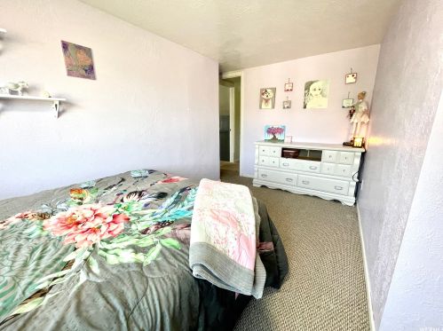 443 100, Mount Pleasant UT 84647-1427 exterior