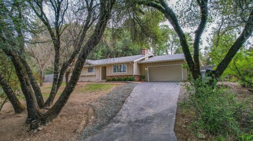 1013 Bridgeview Dr, Swansboro Country, CA 95667-5331