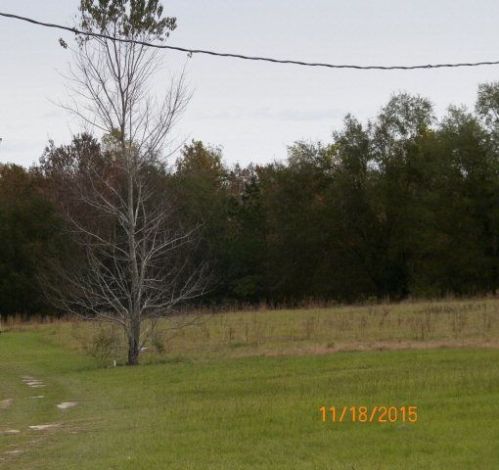 134 Grassy Ln, Bowman, SC 29018-9600