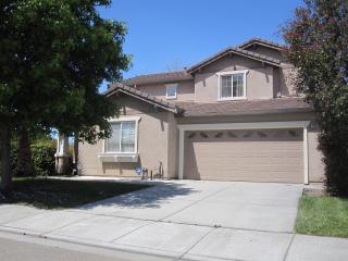 1109 Mamie Anderson Ln, Tracy, CA 95377-7969