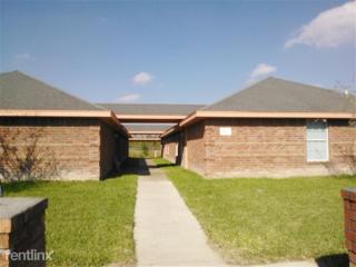 1425 Acme Ln, Alton TX  78541-9054 exterior
