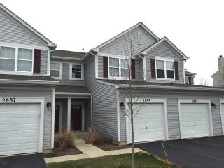 2855 Falling Waters Dr, Third Lake, IL 60046