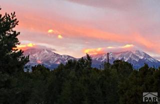 1296 Chickasaw Dr, Farisita, CO 81089-9530