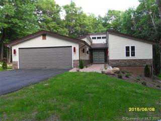 47 Nassahegan Dr, Unionville, CT 06013-1708