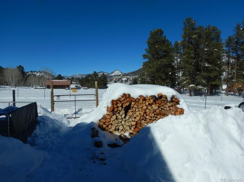 193 Whispering Pines Dr, Masonic Park CO  81154-9595 exterior