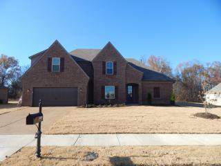 5099 Forest Oasis Ln, Memphis, TN 38135-6245
