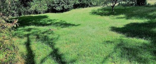 2711 Valleydale Dr, Conyers GA  30012-2716 exterior