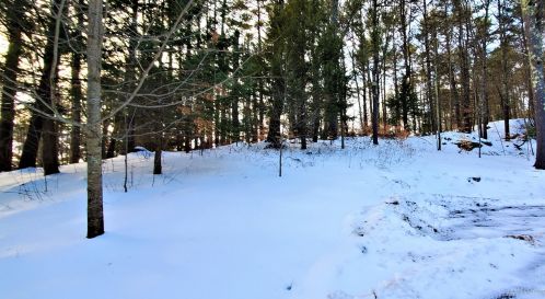 313 Sutherland Pond Rd, Wales, ME 04280-4819