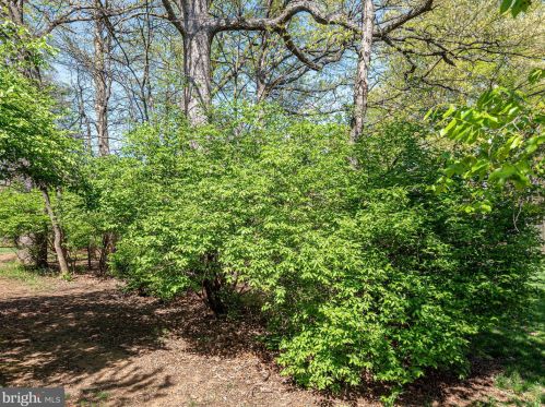 5271 Bradgen Ct, Springfield VA  22151-3505 exterior