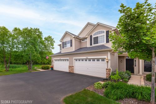 544 Gunnison Ct, Gilberts, IL 60136-4083