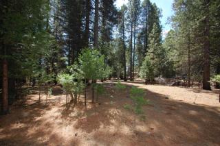 25594 Overland Dr, Volcano, CA 95689-9775