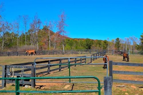 49 Horse Cove Ct, Big Canoe GA  30143-0056 exterior