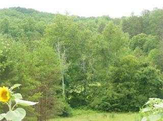 376 Ayers Rd, Pinnacle, NC 27043-9422