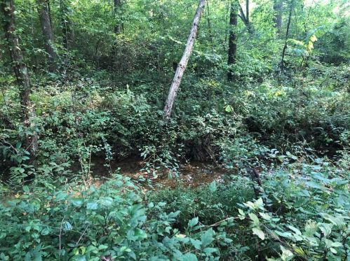 5321 Little Mountain Rd, Dahlonega, GA 30533-0046