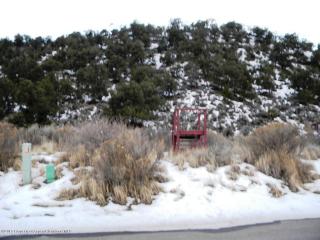 4069 Crystal Bridge Dr, El Jebel CO  81623-3134 exterior
