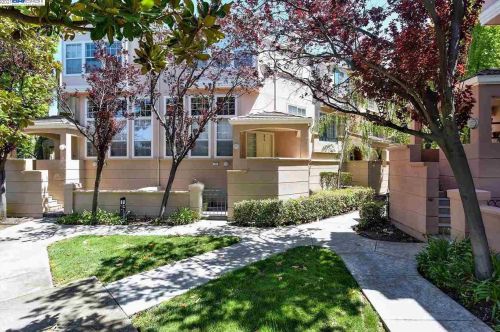 1491 Gingerwood Dr, Milpitas, CA 95035-2455