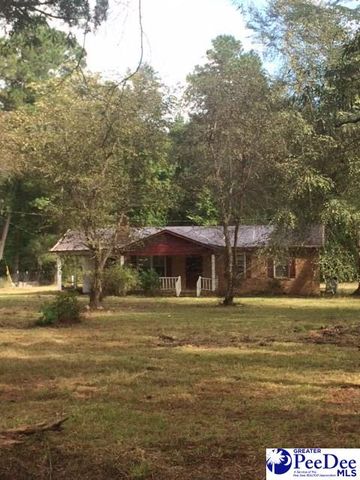 1868 Wahee Rd, Marion, SC 29571-7569