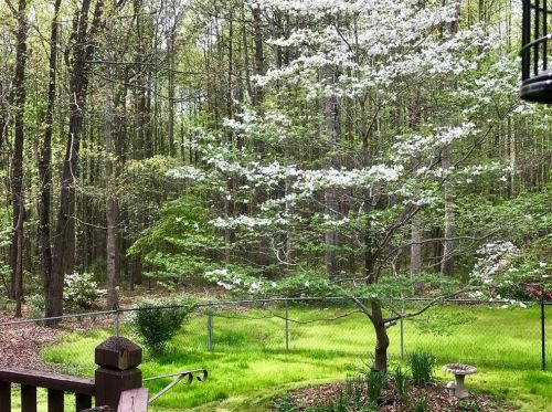 311 Thornwood Cir, Mount Airy, GA 30563-3552