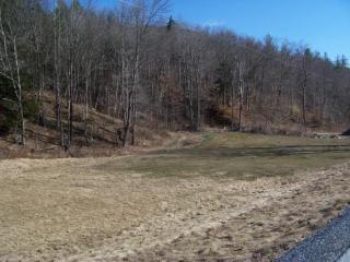 4995 Brandon Mt Rd, Rochester VT  05767 exterior