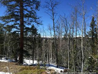 578 Quiver Rd, Fairplay, CO 80456