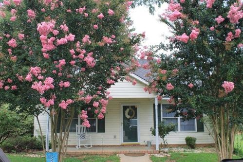 101 Thistle Ct, Greenwood, SC 29646-8544