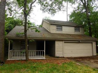 9 Dewthread Ct, Spring TX  77380-0930 exterior