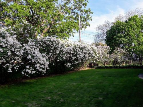 752 Bartelmy Ln, Saint Paul MN 55119-3874 exterior