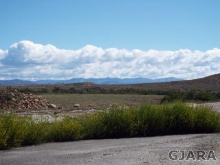 1751 Oasis Dr, Mack, CO 81525-8704