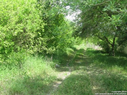 544 County Road 5715, Natalia, TX 78059-2300
